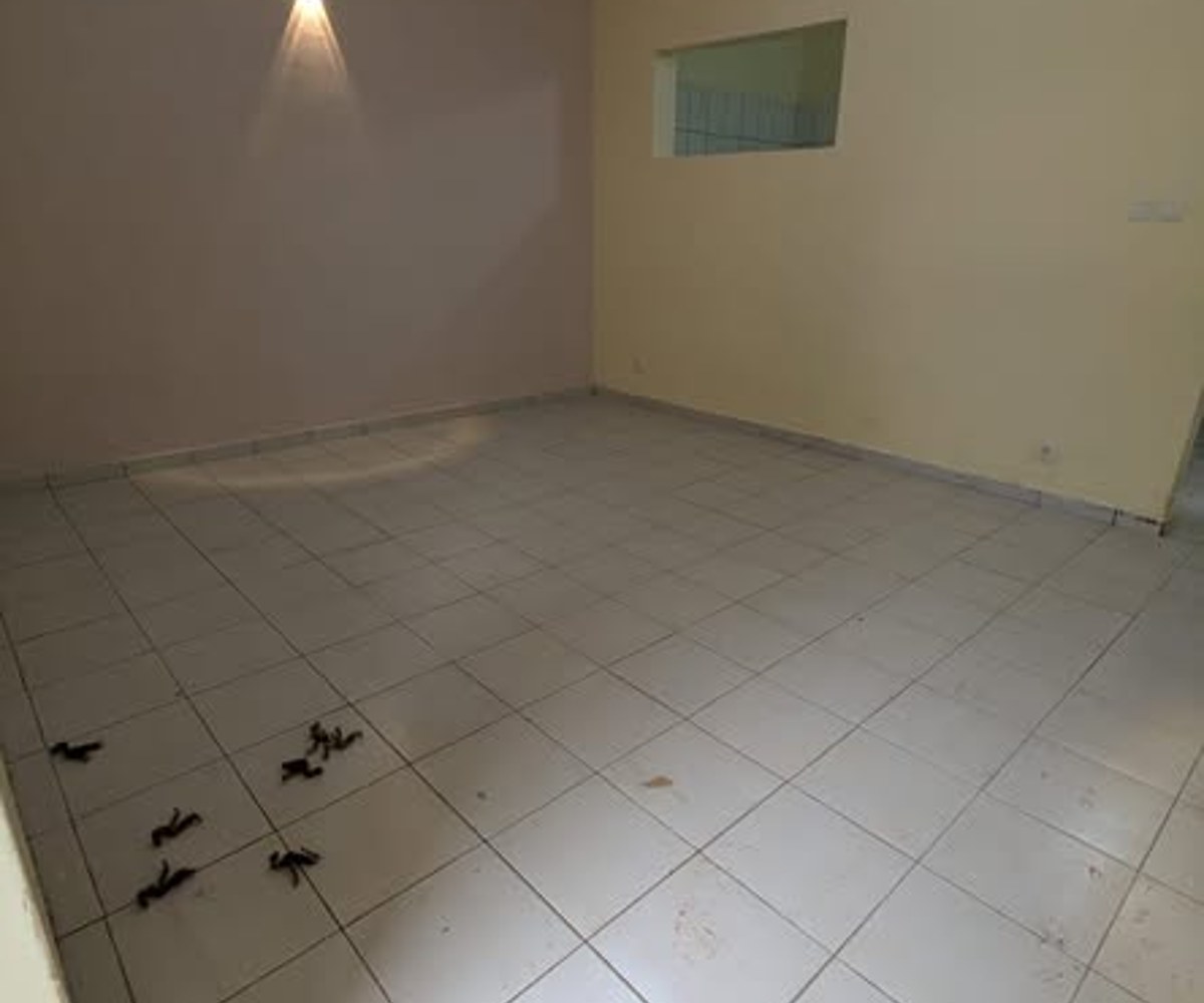 Appartement à louer Ngousso Gényco