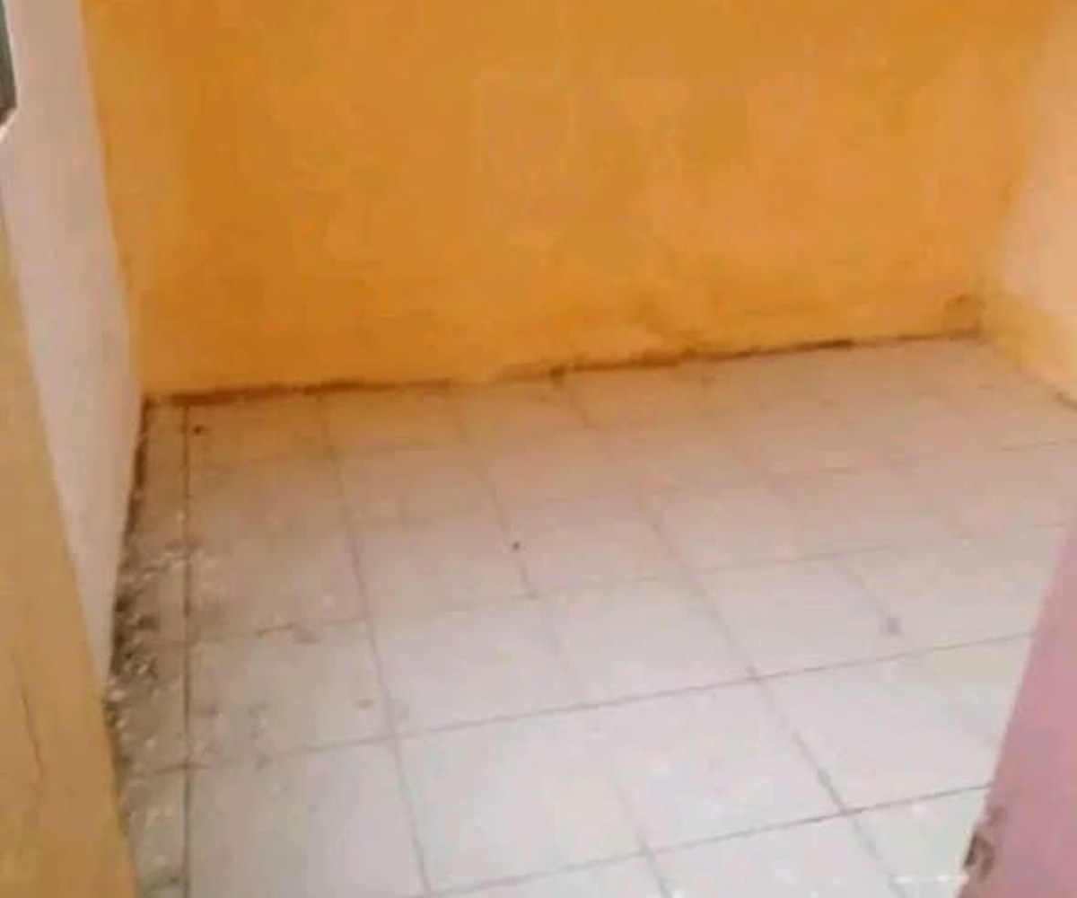 Appartement moderne à louer - Mballa 2, Yaoundé
