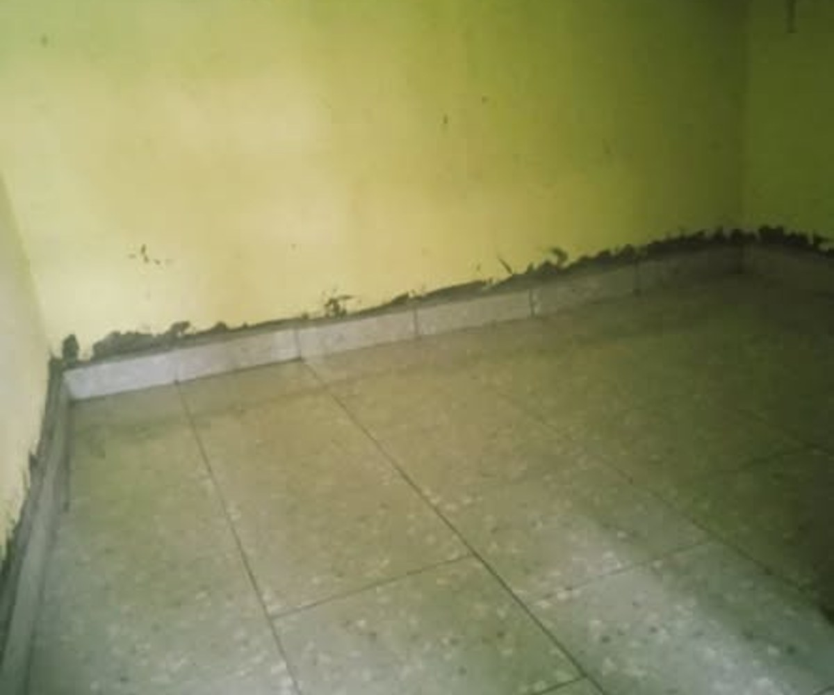 Studio moderne à Ndogpassi III