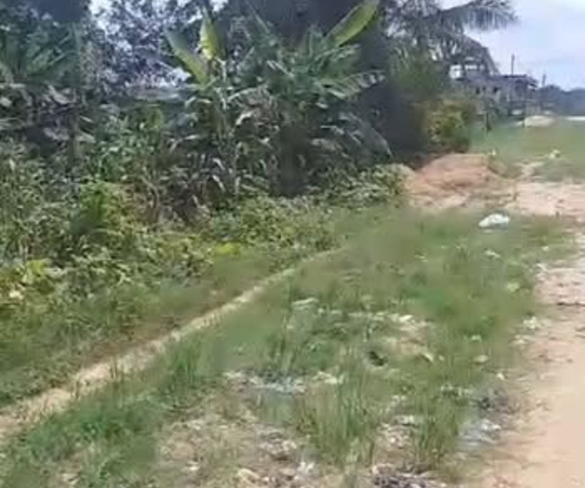 Terrain à vendre PK17, Douala