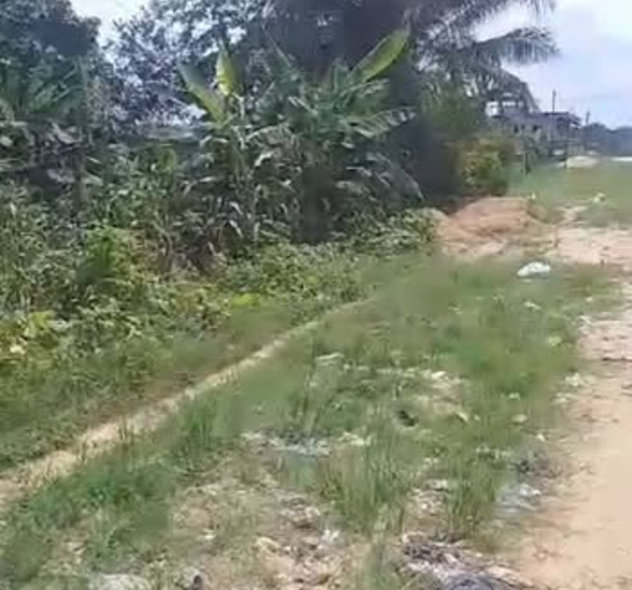 Terrain à vendre PK17, Douala