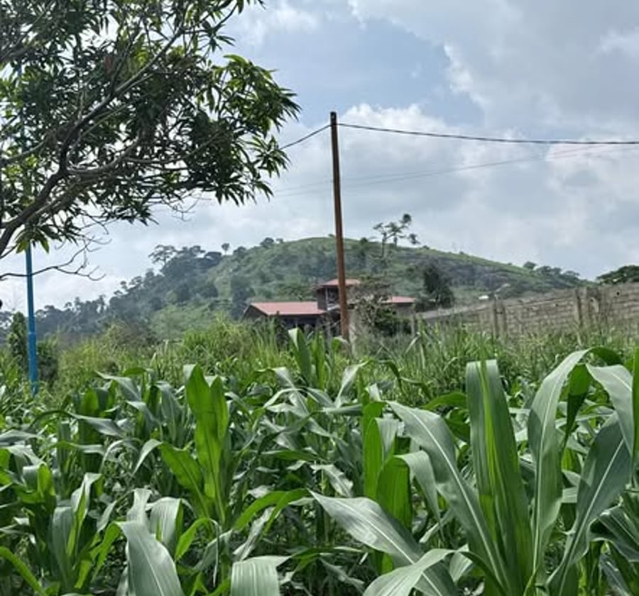 Terrain titré plat à vendre – Emana, Yaoundé