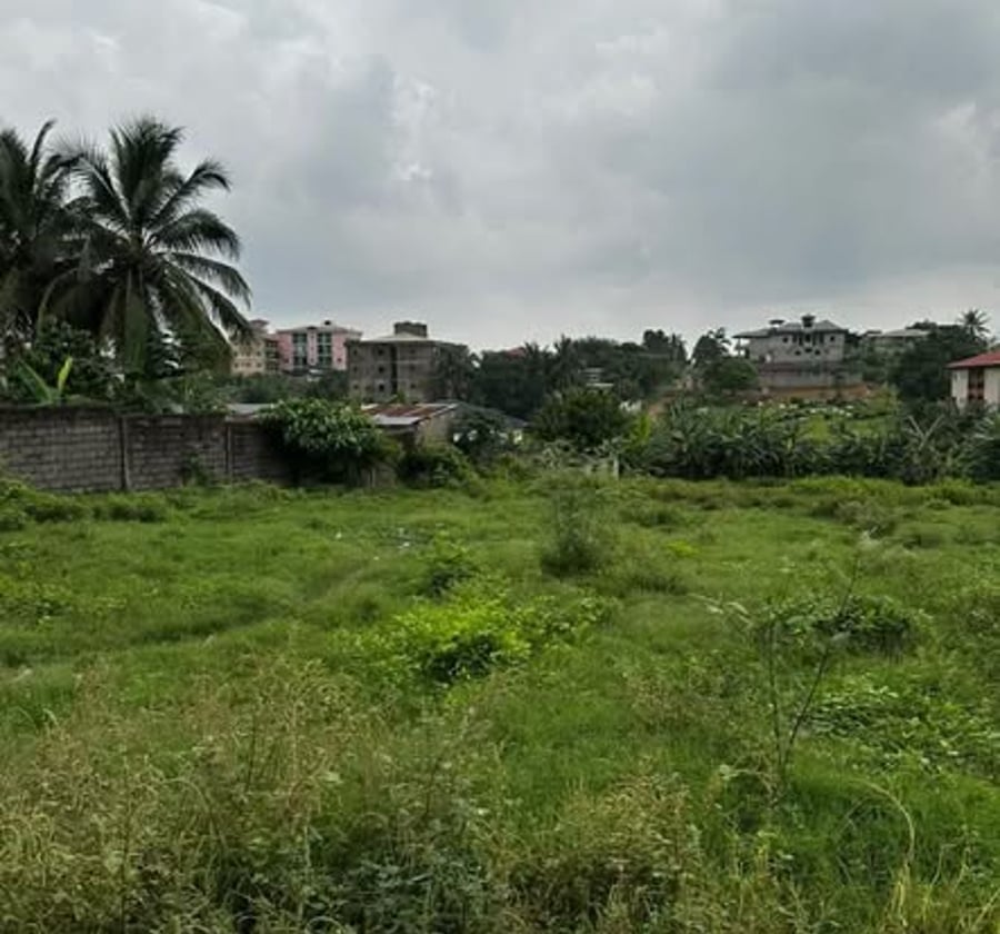 Terrain titré à vendre à Douala Yassa - 2000 m²