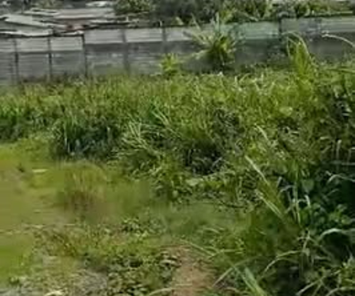 Terrain titré à Nkolbong, Douala