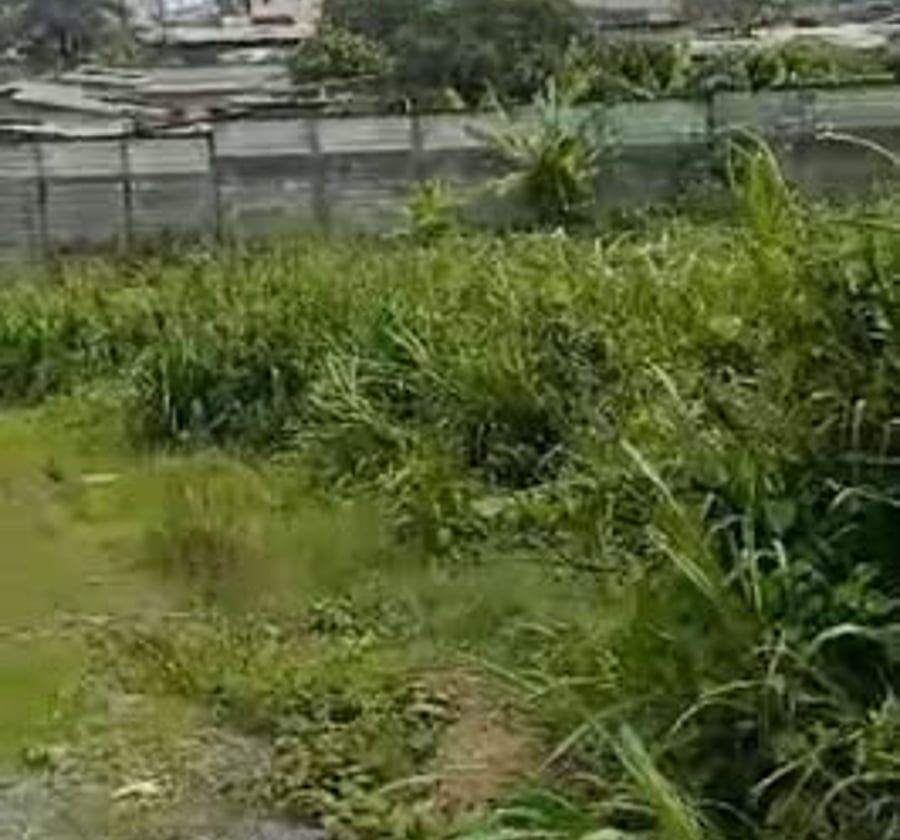 Terrain titré à Nkolbong, Douala