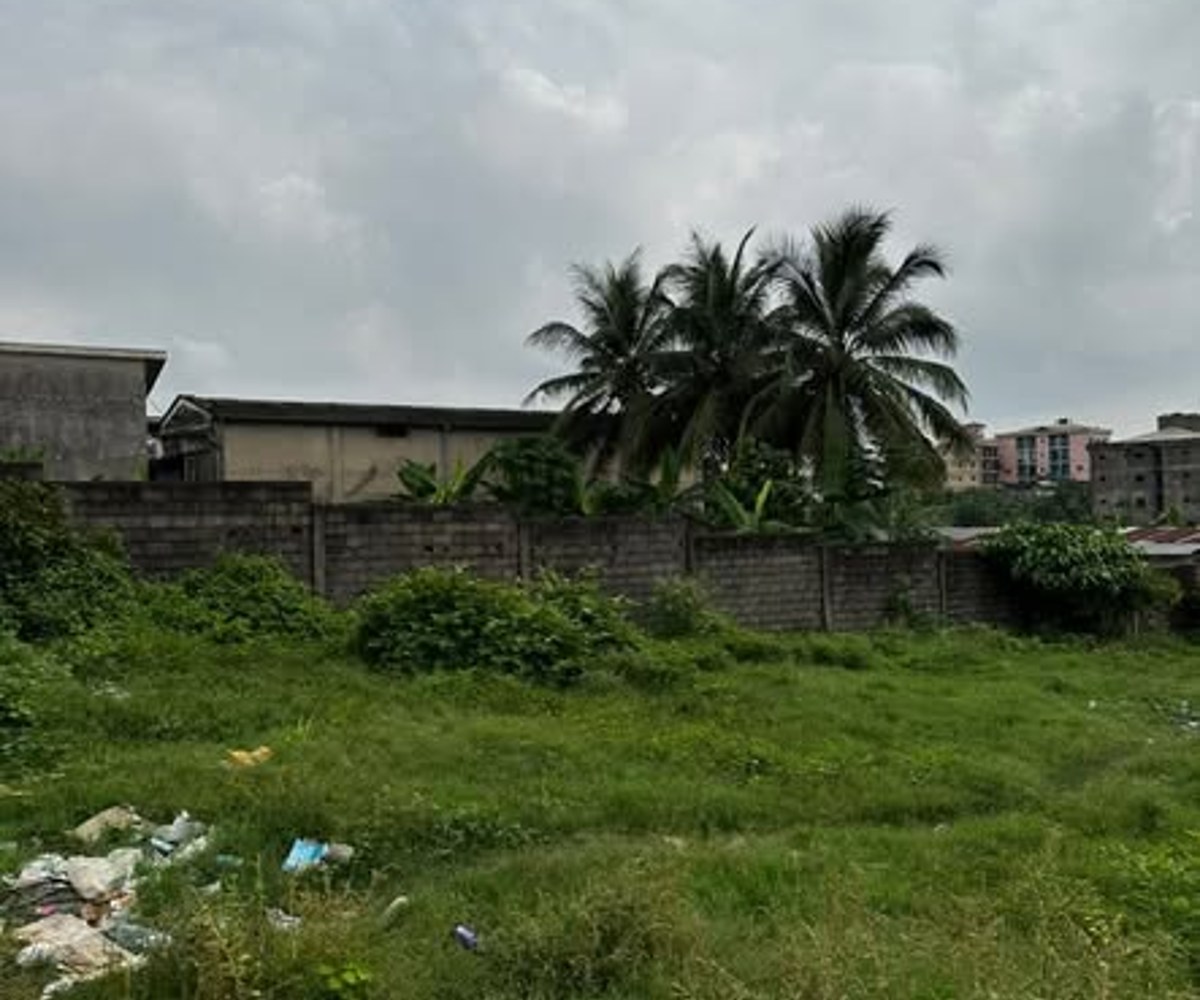 Terrain titré à vendre à Douala – Yassa