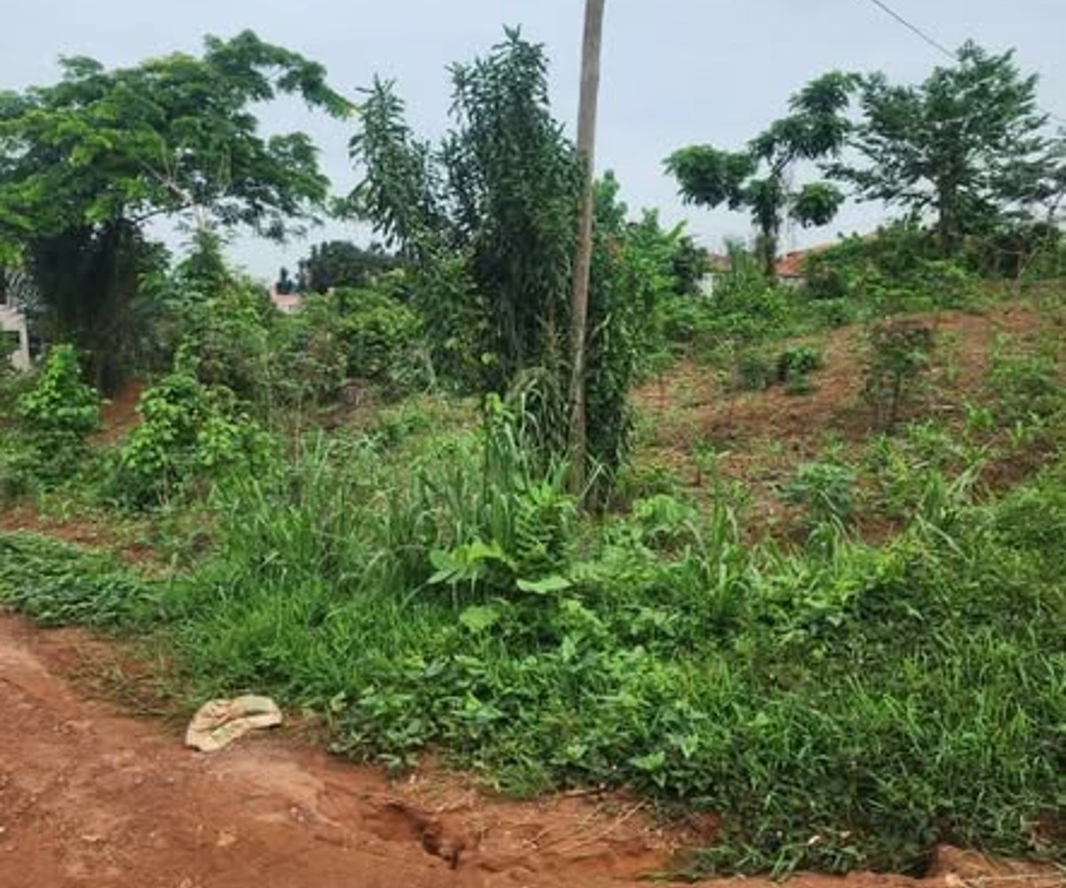 Terrain à vendre - Éleveur, Balla - 500 m²