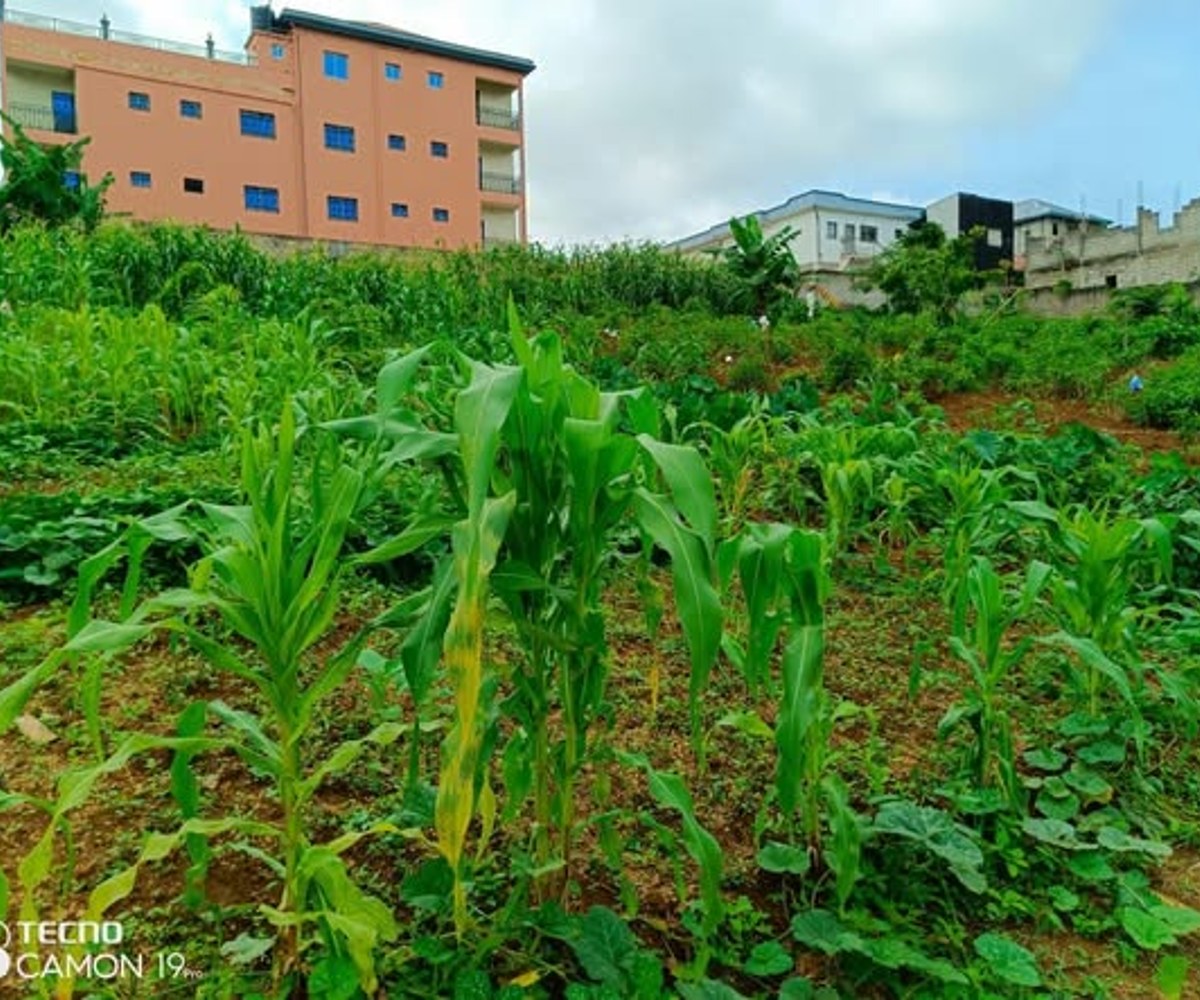 Terrain de 500 m² à Nkolbisson, Yaoundé