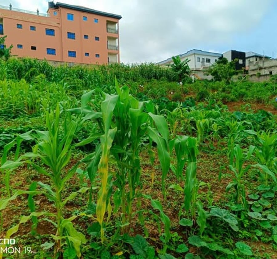 Terrain de 500 m² à Nkolbisson, Yaoundé