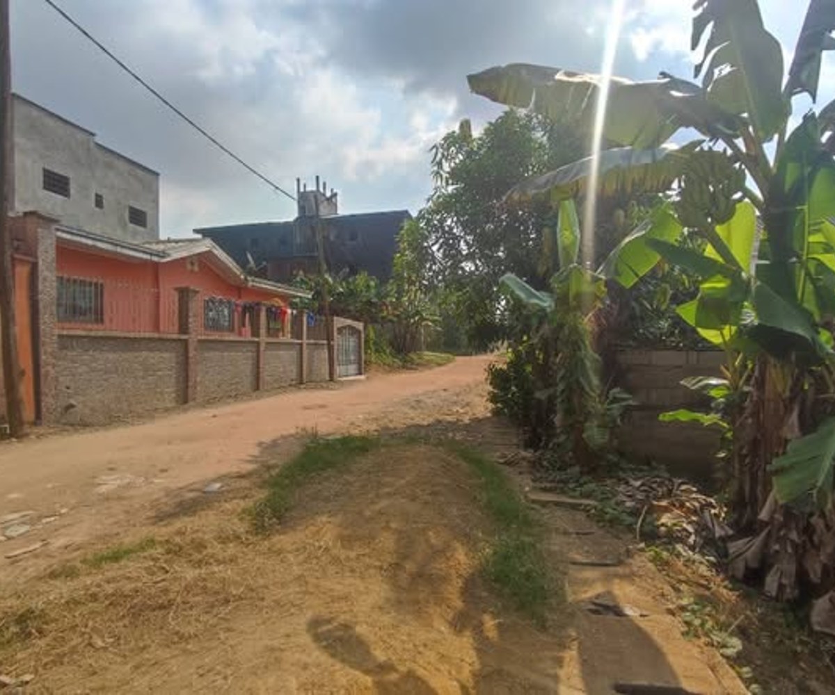 Vente terrain Logbessou Douala - 300 m² avec fondation
