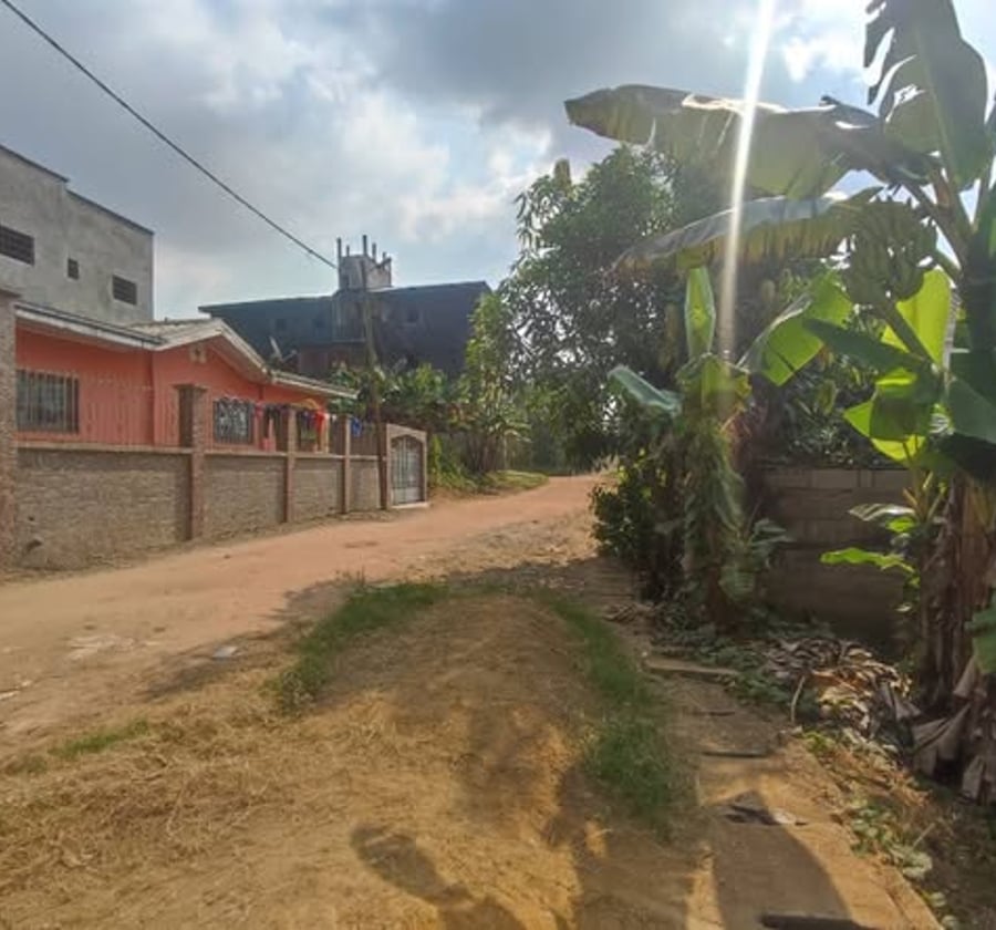Vente terrain Logbessou Douala - 300 m² avec fondation