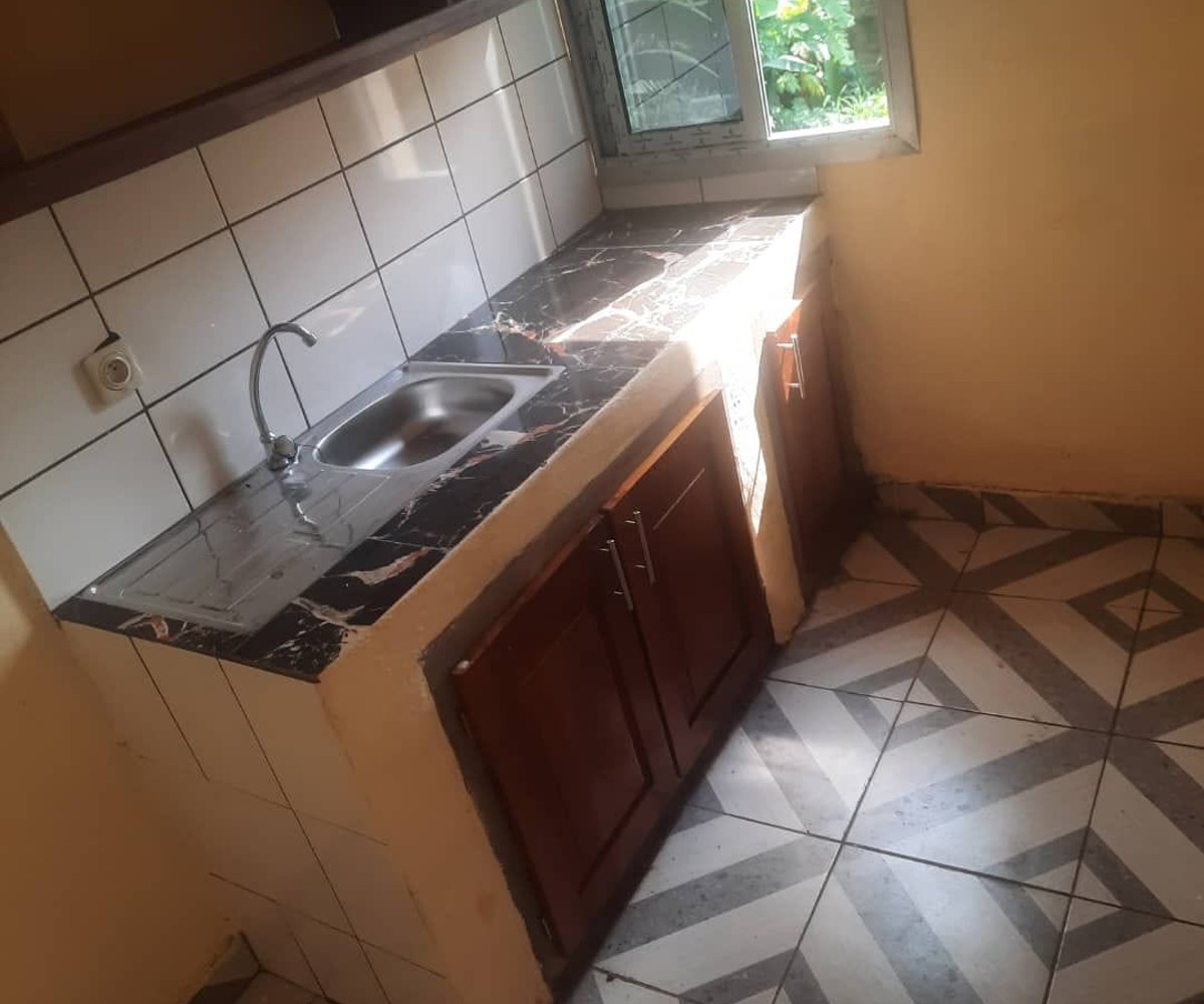 Appartement moderne VIP à louer - Nkolmesseng