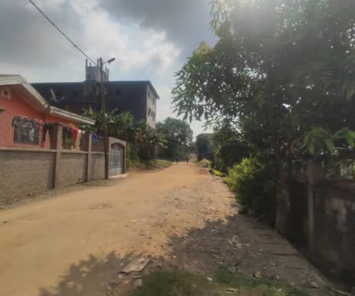 Vente terrain Logbessou Douala - 300 m² avec fondation