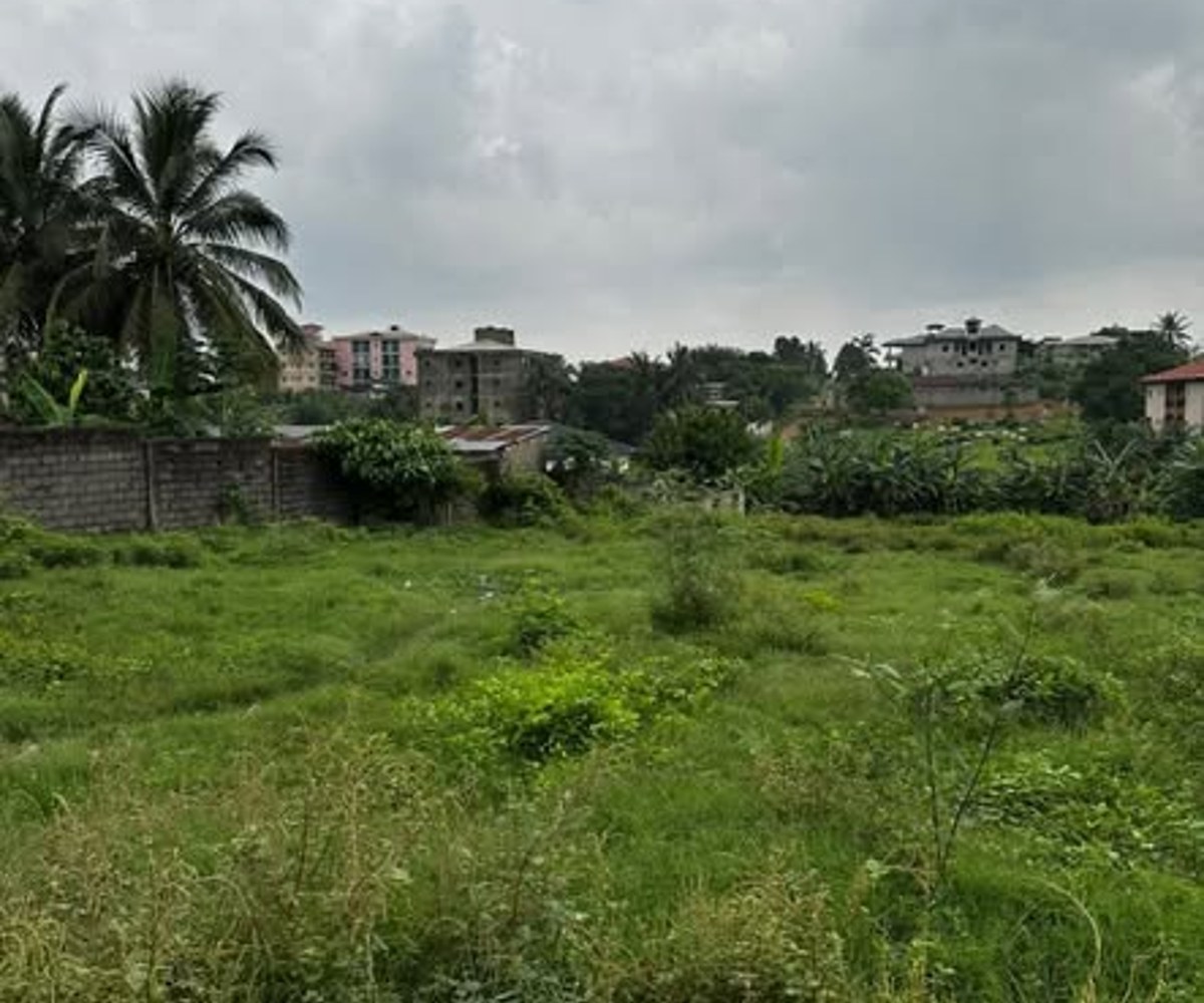 Terrain titré à vendre à Douala – Yassa