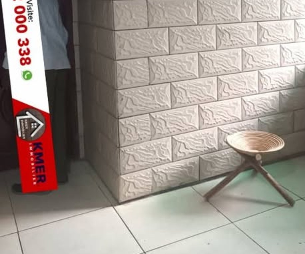 Grand appartement moderne à louer à Ange Raphaël