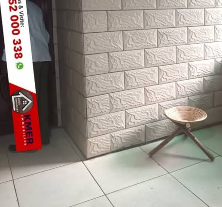 Grand appartement moderne à louer à Ange Raphaël