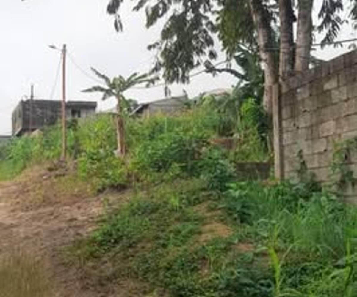 Terrain titré de 300 m² à vendre à Japoma Cocotier