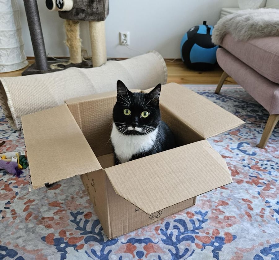 Studio for rent in Nsam, Yaoundé - FCFA 1000 (Negotiable | Agent)