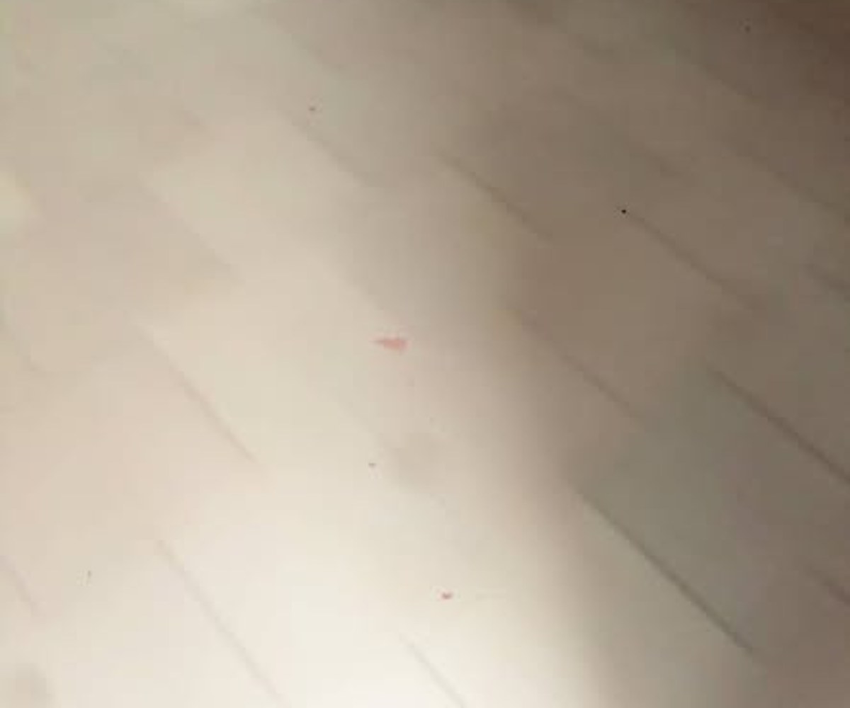 Appartement à louer PK 10