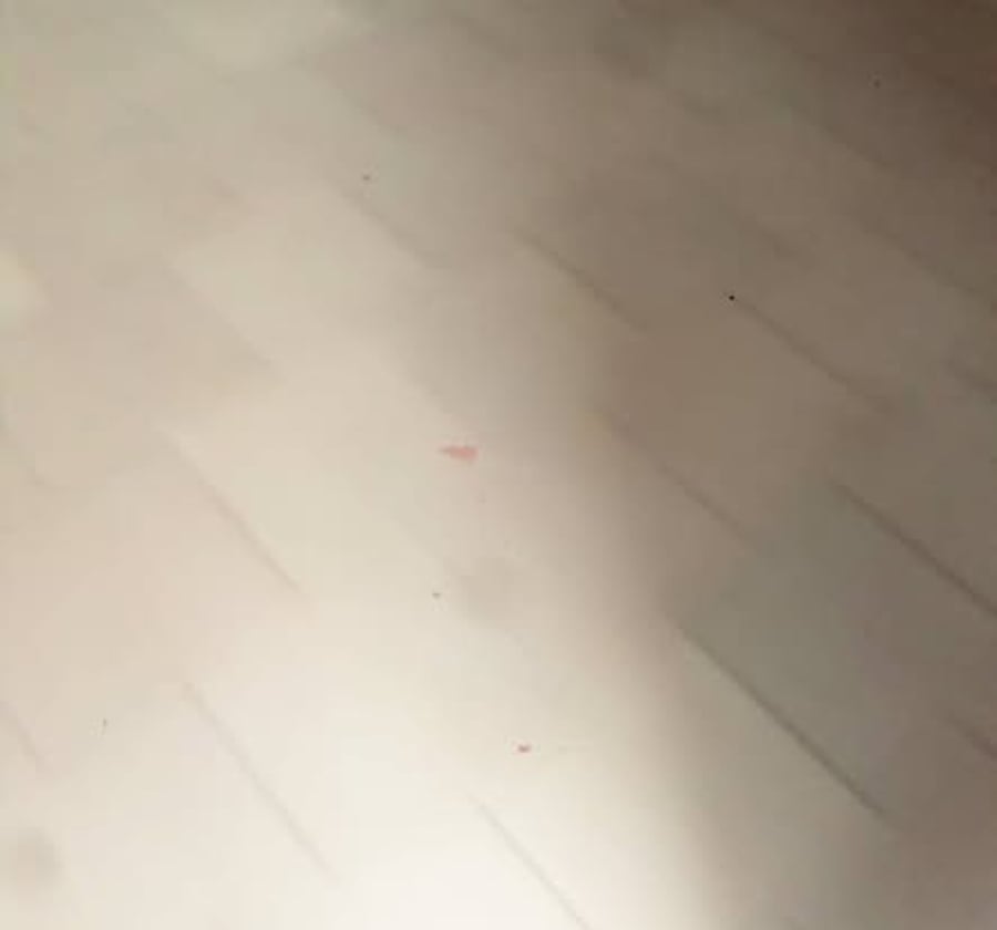 Appartement à louer PK 10
