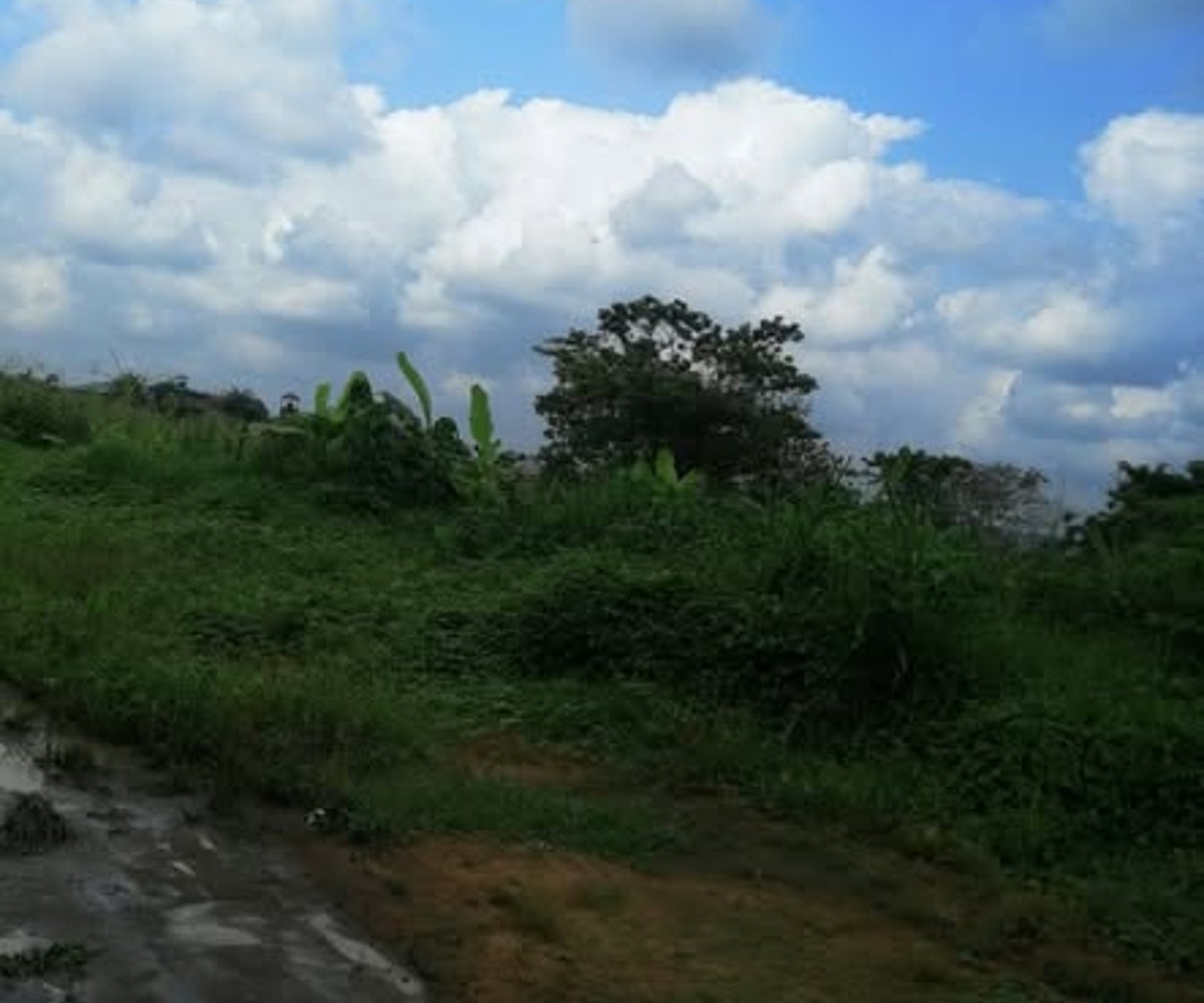 Terrain à vendre à Mbanga Bakoko – Douala Horizon