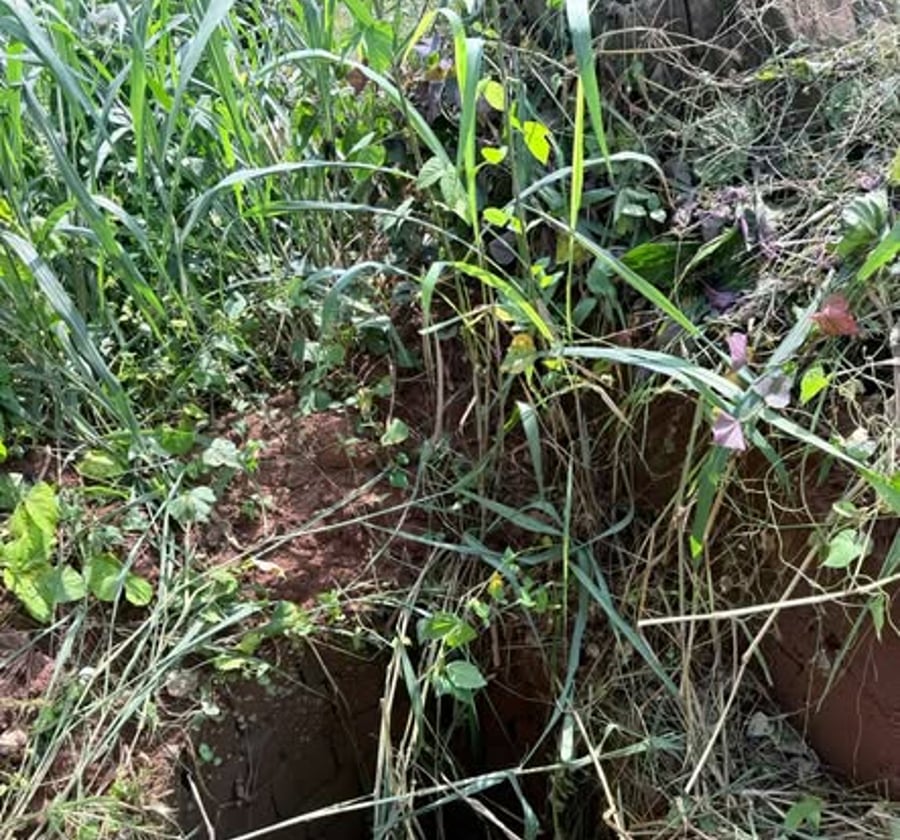 Terrain titré plat à vendre - Yaoundé Eleveur