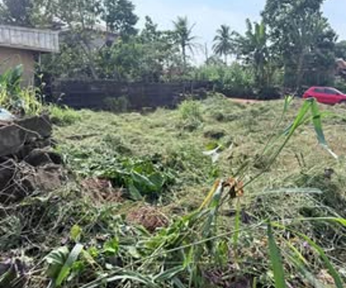 Terrain titré plat à vendre - Eleveur, Yaoundé