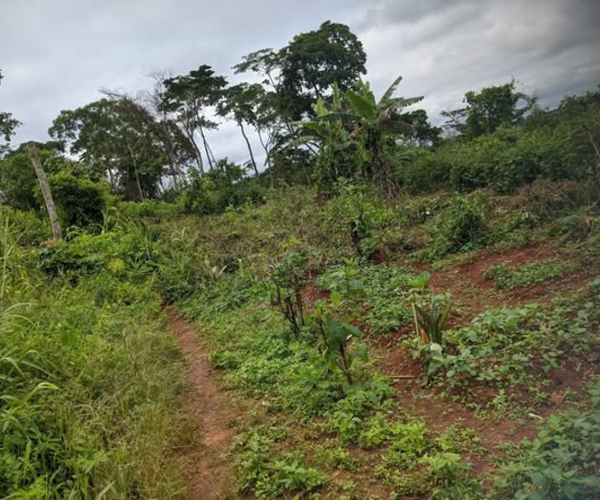Terrain à vendre à Nomayos (Ancien Rails)