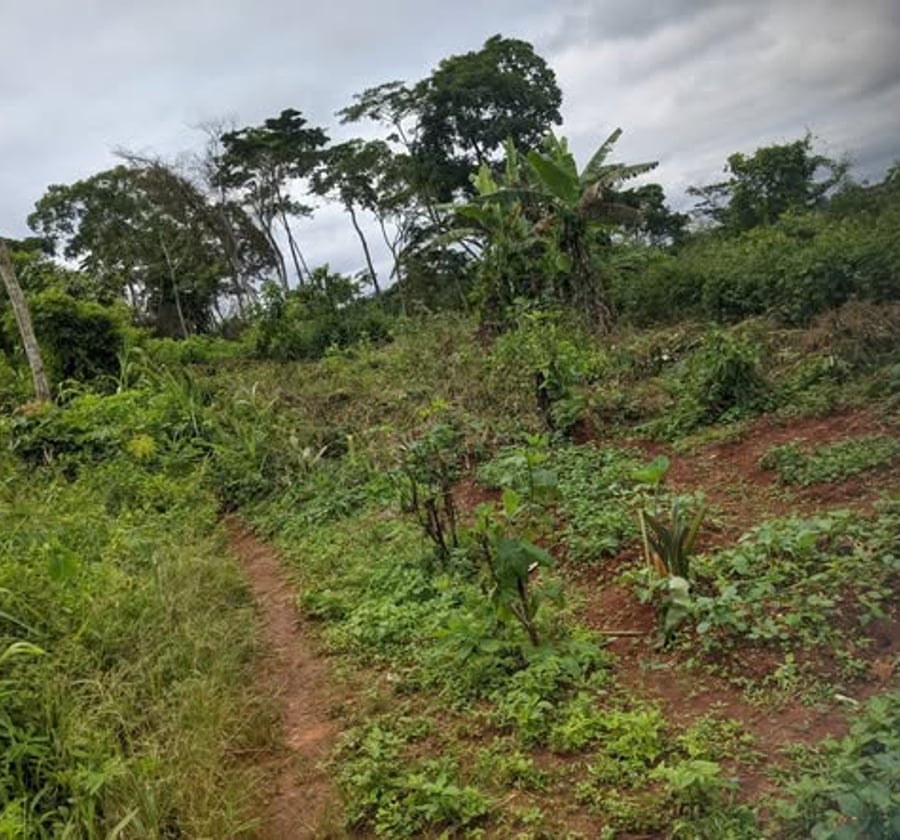 Terrain à vendre à Nomayos (Ancien Rails)