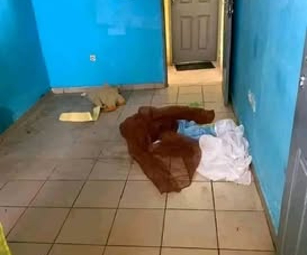 Chambre moderne à Ange Raphaël (carrefour IPA)