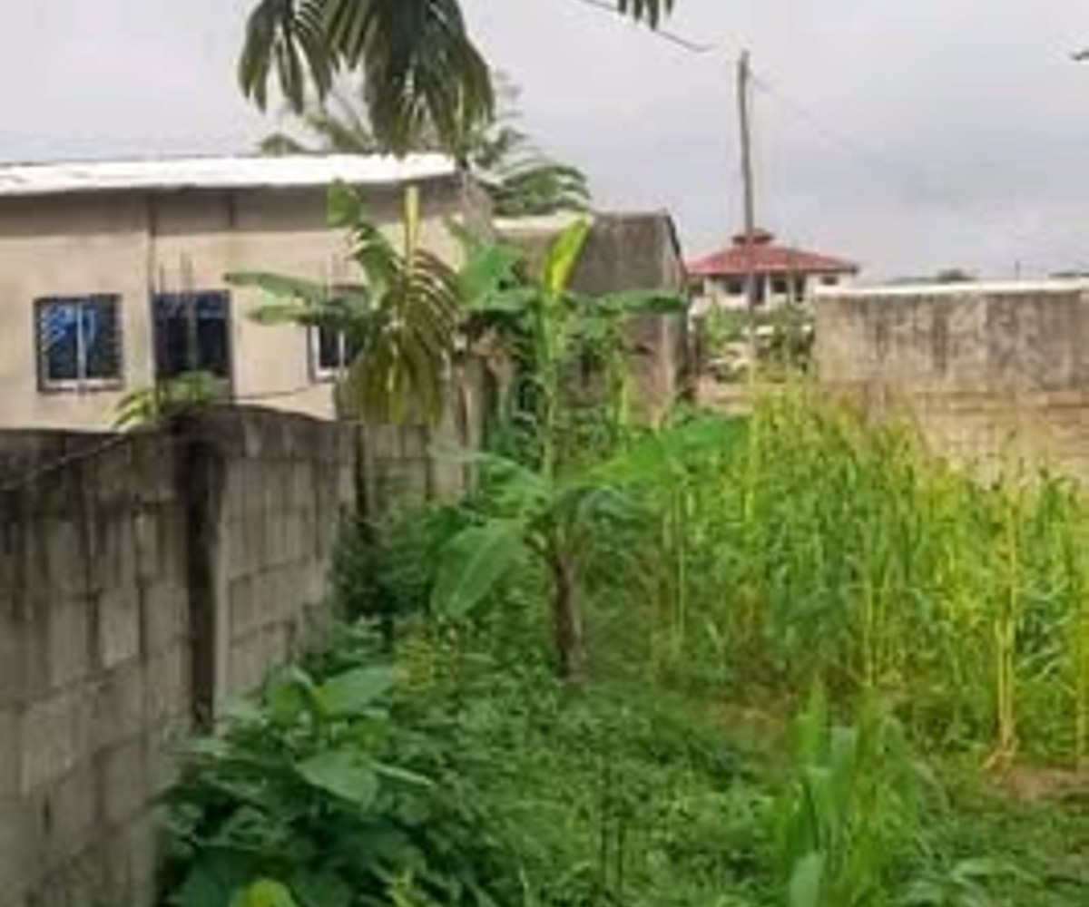 Terrain à vendre à Japoma, Douala - 300 m² titré