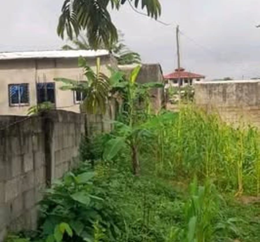 Terrain à vendre à Japoma, Douala - 300 m² titré