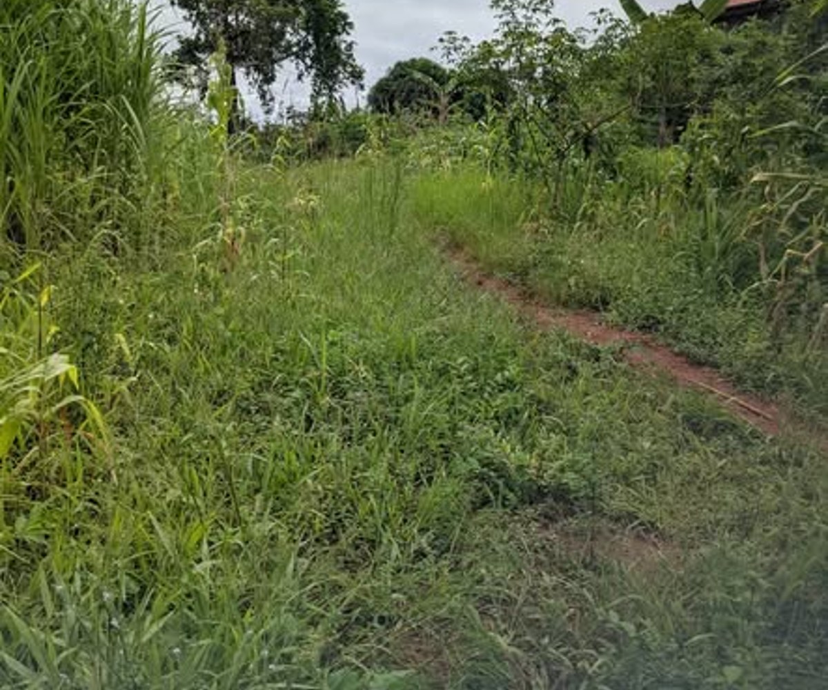 Terrain à vendre à Nomayos (Ancien Rails)