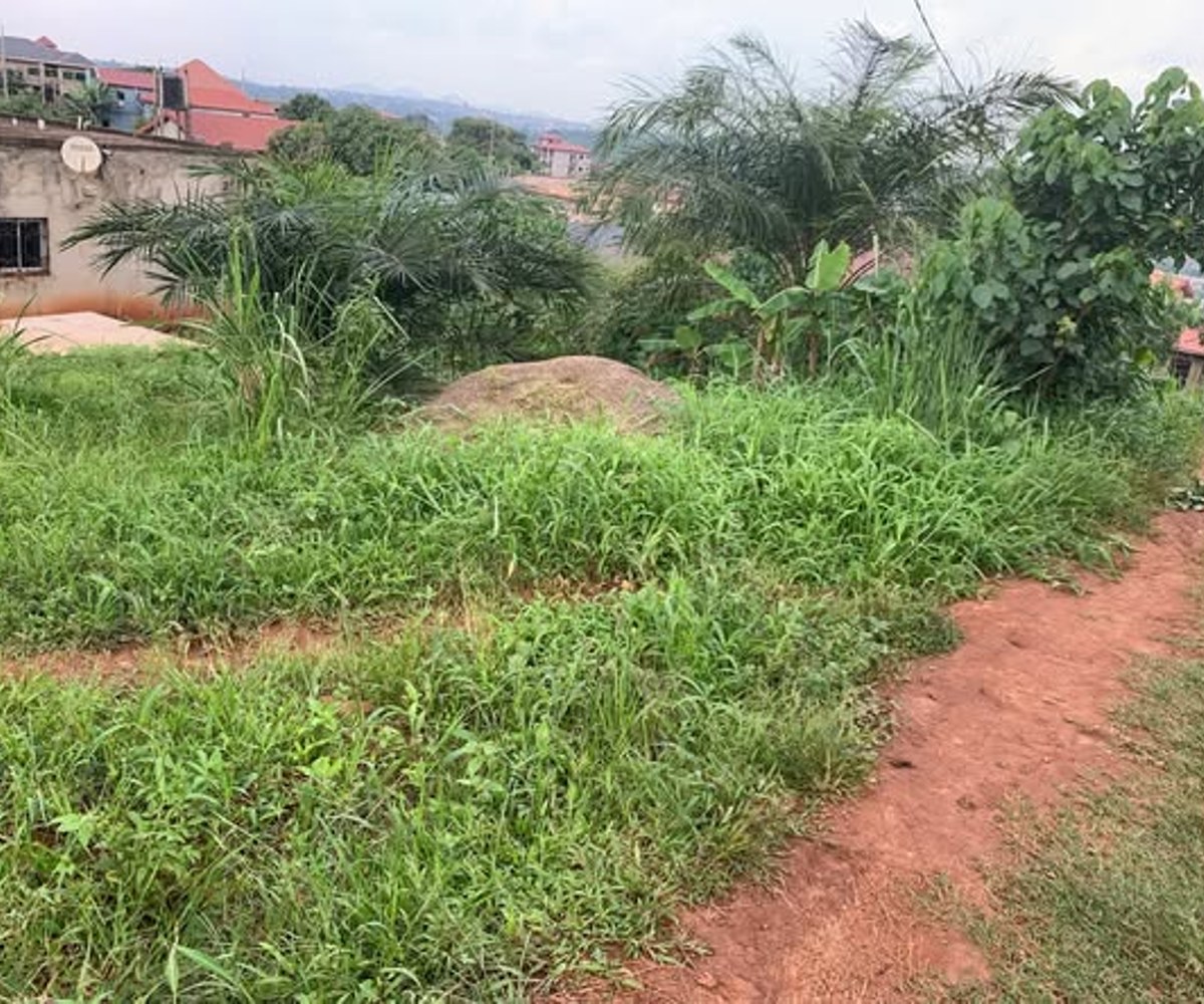 Terrain titré à Carrière, Yaoundé