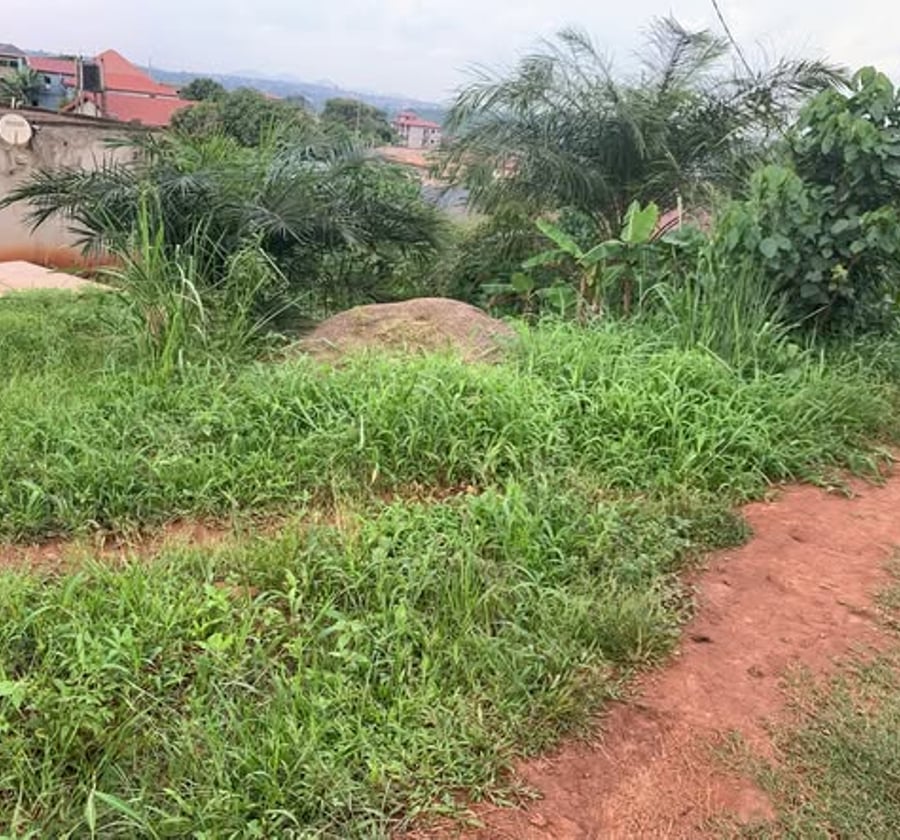 Terrain titré à Carrière, Yaoundé