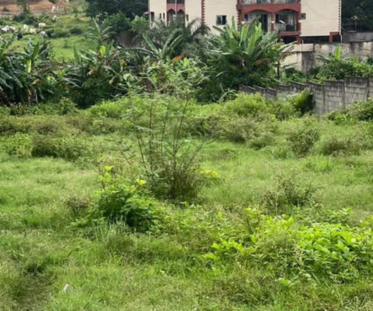 Terrain à vendre à Yassa (Douala) – 70 000 FCFA/m²