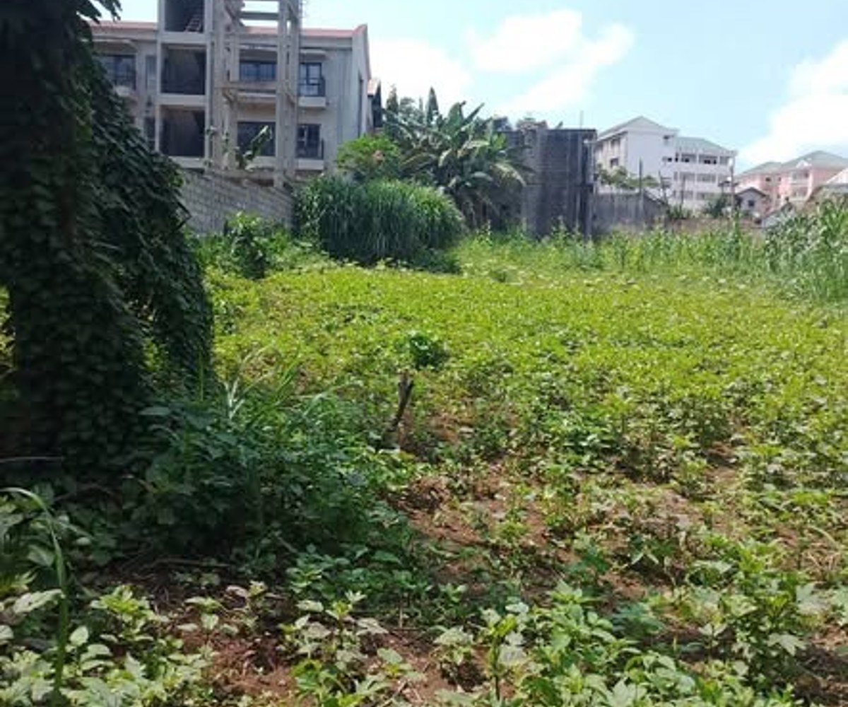Terrain à vendre à Odza - 400 m²