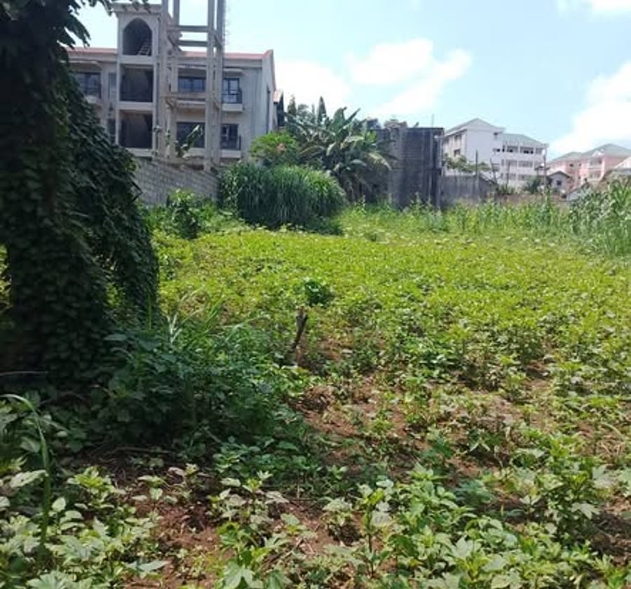 Terrain à vendre à Odza - 400 m²