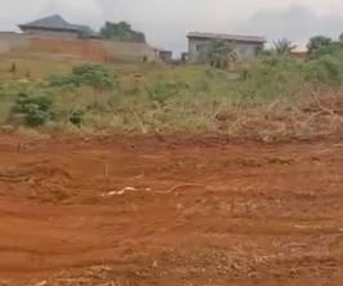 Terrain à vendre à Nkolfoulou, Yaoundé - 250 m²