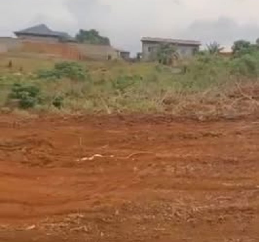 Terrain à vendre à Nkolfoulou, Yaoundé - 250 m²