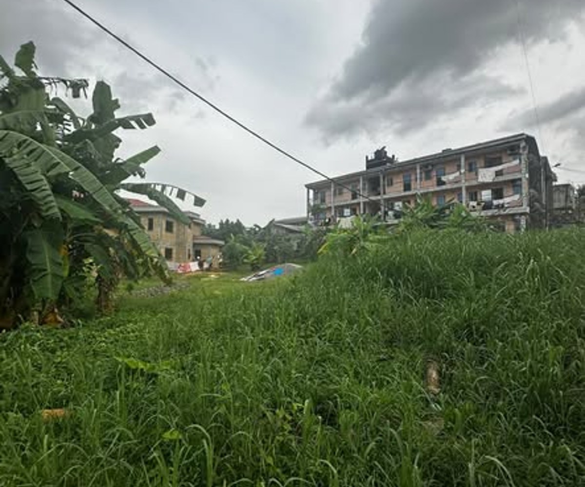 Terrain titré à vendre à Logbessou, Douala