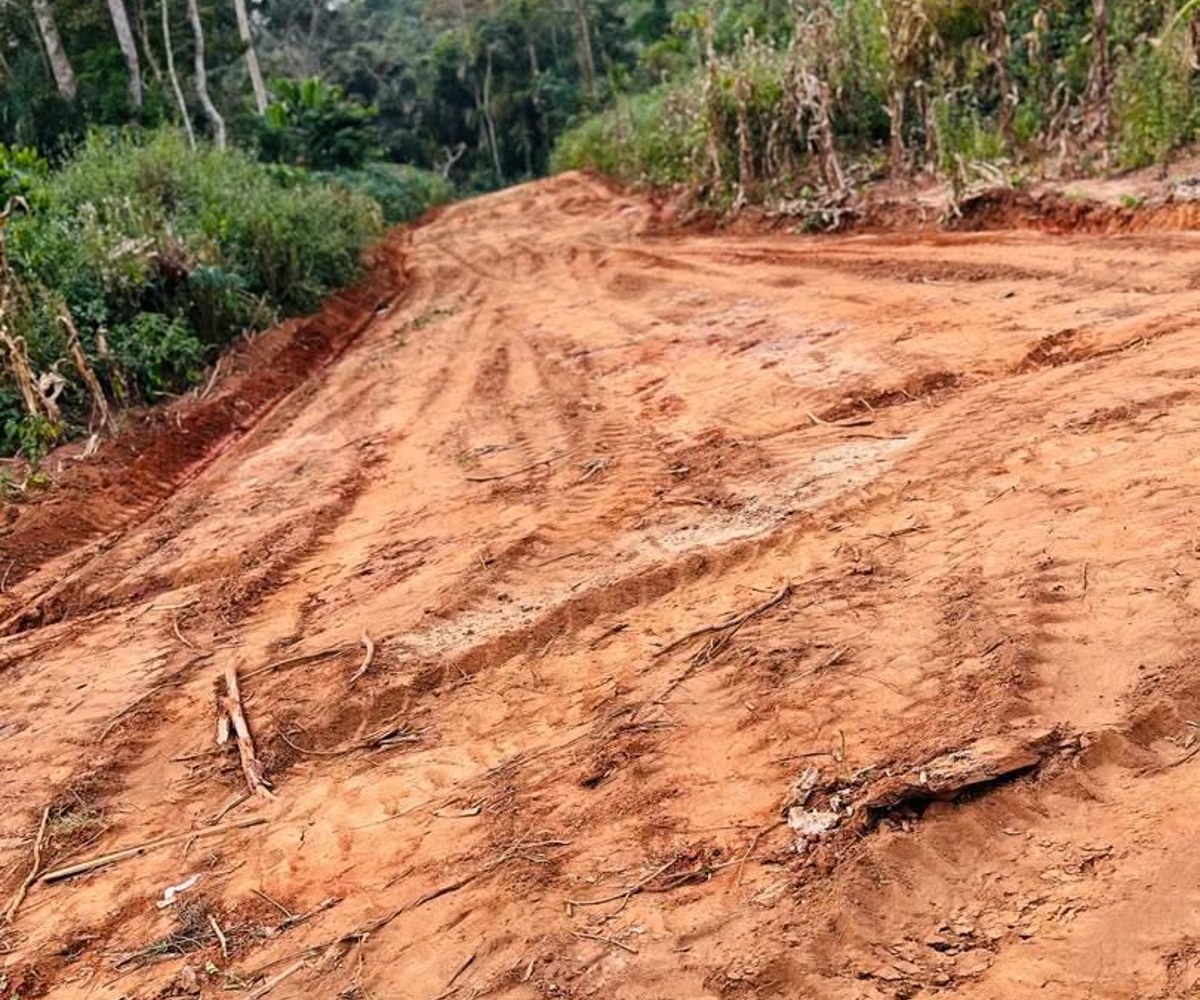 Terrain titré 1000 m² à vendre – Makepe Maturité, Douala