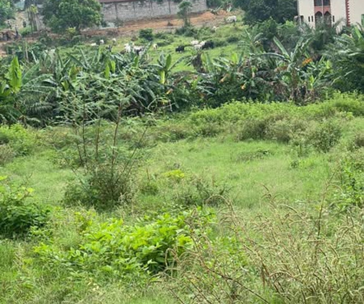 Terrain à vendre à Yassa (Douala) – 70 000 FCFA/m²