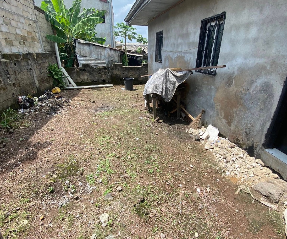 Vaste appartement à louer - BOCOM Cogefar, Douala