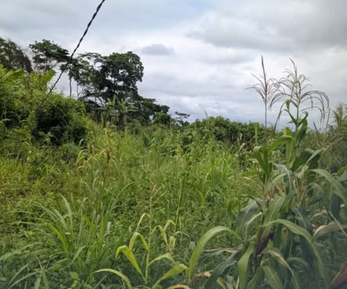Terrain à vendre à Nomayos (Ancien Rails)