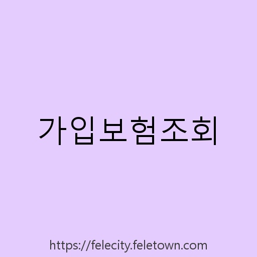 가입보험조회 설명사진