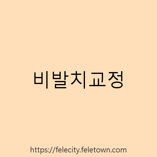 비발치교정 설명사진