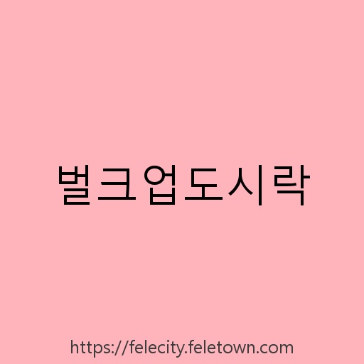 벌크업도시락 설명사진