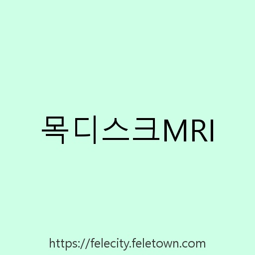 목디스크MRI 설명사진