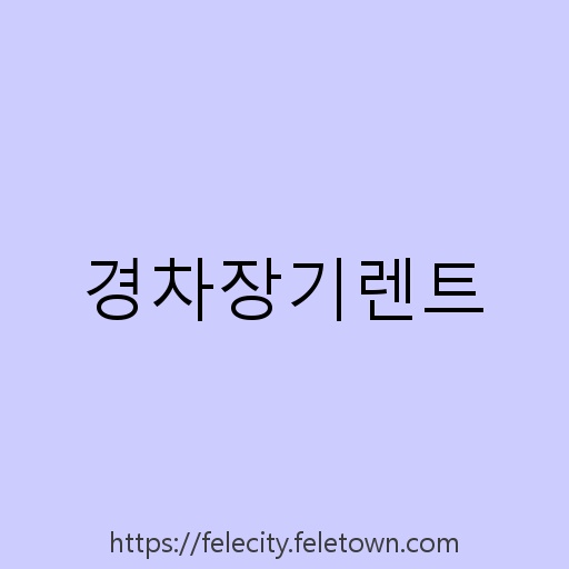 경차장기렌트 설명사진